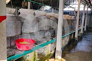 fish farm inside. containers with water and fish