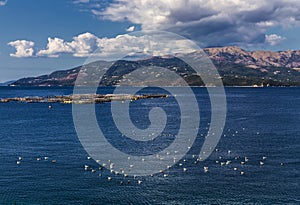 Fish farm and large flock of seagulls sitting on the water , view from Albanian coast to Corfu, Greece. Beautiful Ionian sea