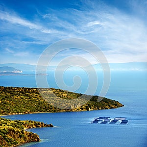 Fish farm in Mediterranean photo