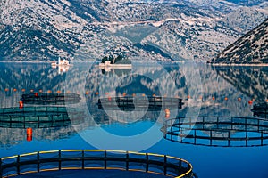 Fish farm in Montenegro. The farm for breeding and fish farming