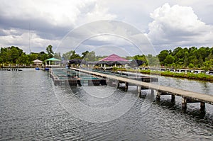 Fish farm in the pond.