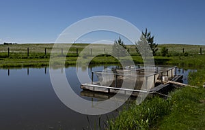 Fish farm in the pond. Aquaculture in the open air.