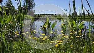 Fish farm in the pond. Aquaculture in the open air.