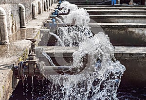 Fish farm pool. Trout breeding, sea food