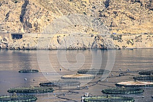 Fish farm in Roquetas de Mar, AlmerÃÂ­a, Spain photo