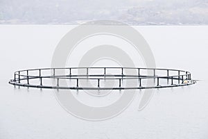 Fish farm salmon nets cages floats in sea water coast environment organic farming at Loch Melfort Arygll Scotland UK