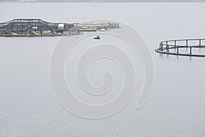 Fish farm salmon nets cages floats in sea water coast environment organic farming at Loch Melfort Arygll Scotland UK