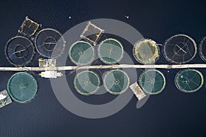 Fish farm salmon round nets in natural environment Loch Awe Arygll and Bute Scotland