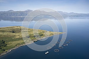 Fish farm salmon round nets in natural environment Loch Awe Arygll and Bute Scotland