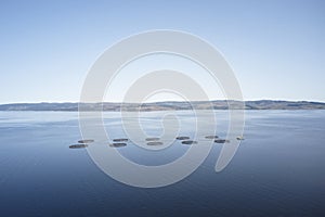 Fish farm salmon round nets in natural environment Loch Fyne Arygll and Bute Scotland