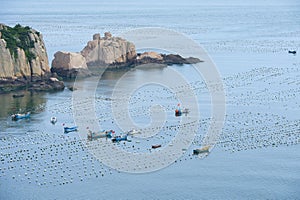 Fish farm in sea