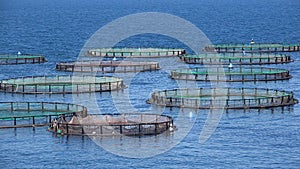Fish Farm on Sea, Hatchery Fishing, Greece Aquaculture, Marine Fish Farm Feeding