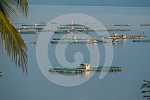 Fish Farm On Taal Lake