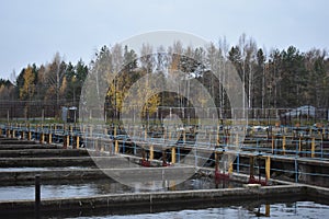 Fish farming fish farm farming a cascade of unusual pools with warm water in the forest under the open photo