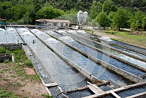 fish farming in France