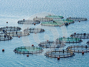 Fish farming