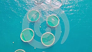 Fish farming in sea of Greece, aerial view of floating pool cages on fish farm