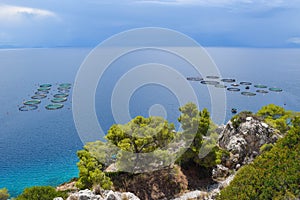 The fish farms in Greece.