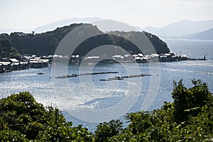 Fish farms located in Ine bay in the beautiful fishing village of Ine in north of Kyoto.