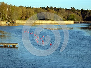 Fish farms on theRiver