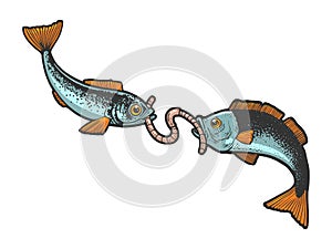 Fish fight worm sketch vector illustration