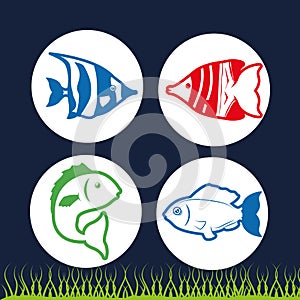 Fish figure design