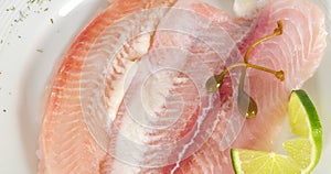 Fish fillet. Isolated