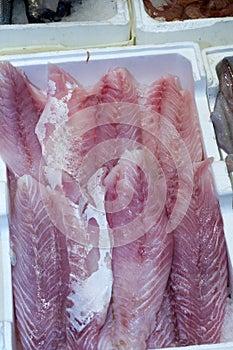 Fish fillets in market