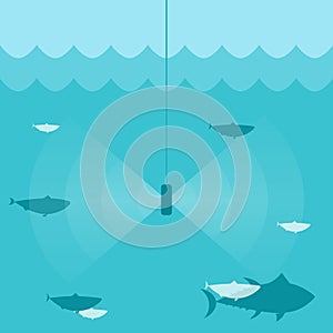 Fish finder sonar photo