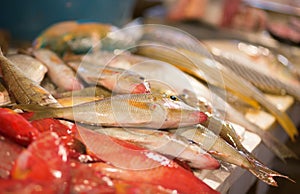 Fish on a fish market, Boracay, Philippines