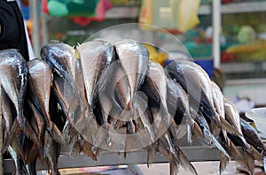 Fish at fish market in Peru available to purchase