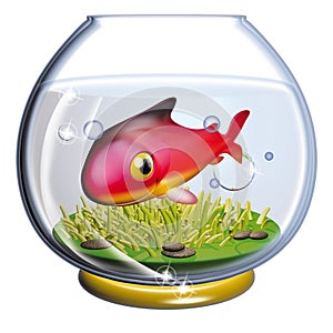 Fish in the fishbowl photo