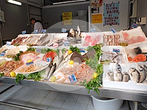 Fish on fishmonger's slab