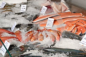 Fish on fishmonger's slab