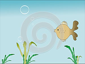 Fish and float grass