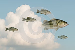 Fish flying in the sky among the clouds.