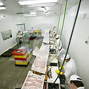 Fish food factory