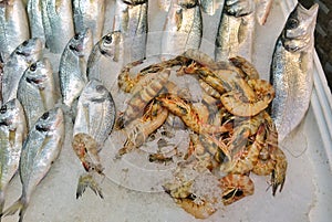 Fish Food in a Fish Market Stand