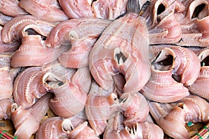 Fish food - Snake Skin Gounrami drying (fish filet) in the outside