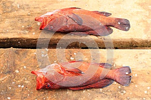 Fish fresh in cape verde