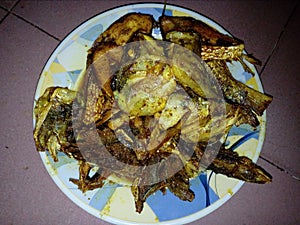 fish fry, fish, hilsa fish, delicious fish, padma hilsha