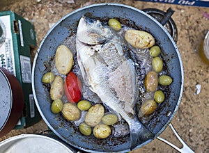 Fish gilt-head bream on the pan