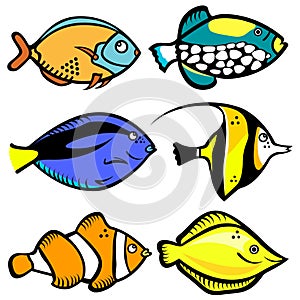 Fish graphic vector