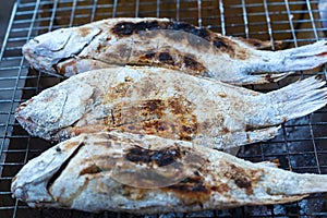 Fish grill,Fish fry,Oreochromis niloticus,nile tilapia fry.