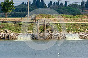 Fish growing ponds and migrating birds in Israel