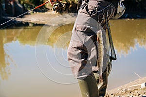 Fish hanging on Fisherman`s belt