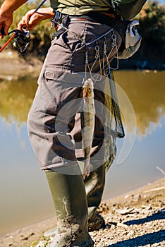 Fish hanging on Fisherman`s belt