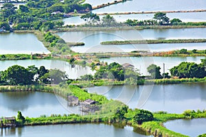 Fish Hatchery Pond