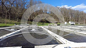 The fish hatchery and pools at Lil-Le-Hi Trout Nursery in Allentown, Pennsylvania, U.S