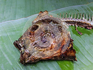Fish head